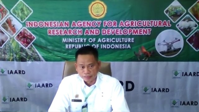 Produktivitas dan Kualitas Jeruk Indonesia Perlu Ditingkatkan