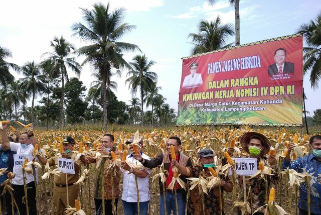 Komisi IV DPR RI Dukung Kementan Genjot Produksi Pertanian Provinsi Lampung