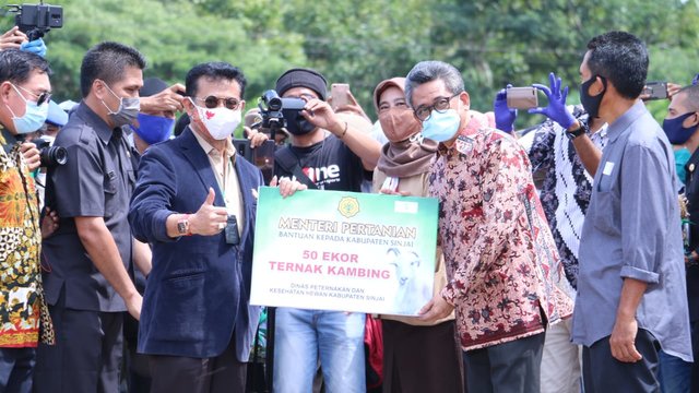 Mentan Syahrul Dorong Sulsel Jadi Lokomotif Ternak Sapi Kerbau Nasional