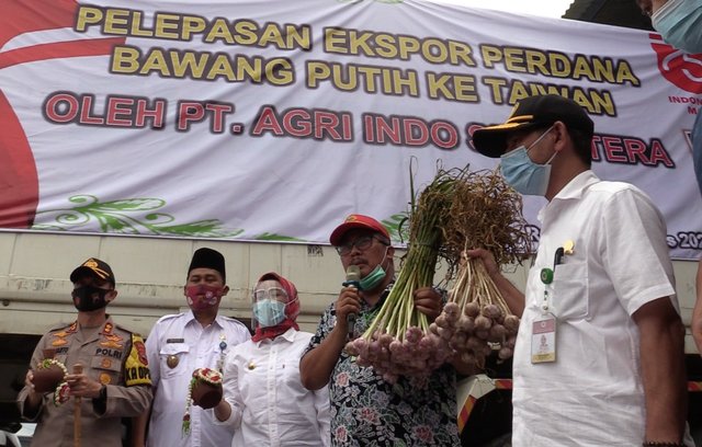 Sambut HUT Kemerdekaan ke-75, Indonesia Ekspor Bawang Putih