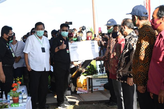 Stok Beras Masih Melimpah, Mentan SYL Panen Raya di Bangka Selatan