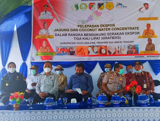 Kabupaten Touna Sukses Ekspor Jagung, Kementan Dorong Kembangkan Korporasi Pertanian