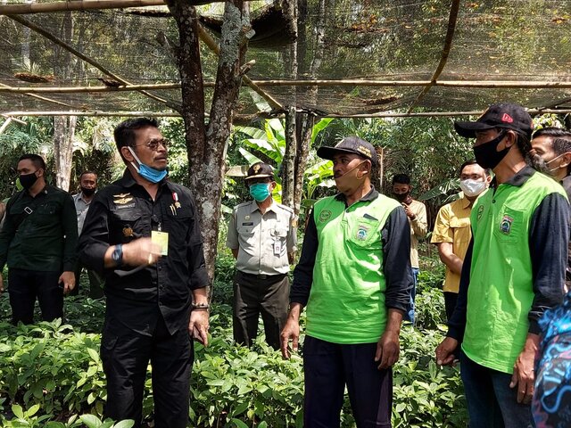 Mentan SYL Canangkan Kawasan Alpukat Pameling Gapoktan Nakulo Binaan Kostratani Malang