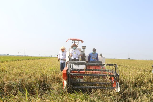 Pengembangan Kawasan Korporasi Pertanian Semakin Meluas