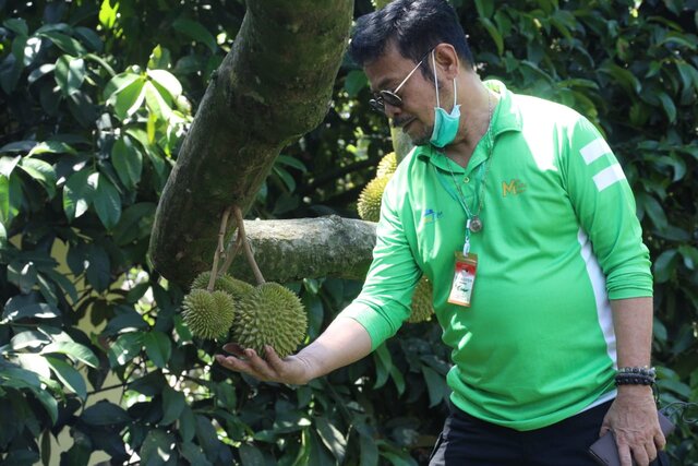 Apresiasi Buah Lokal,  Mentan Syahrul Kunjungi Kebun Durian Warso Farm