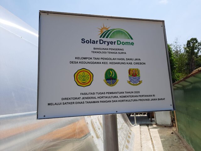 Solar Dryer dari Kementan Tingkatkan Nilai Tambah Produk Mangga di Tingkat Petani