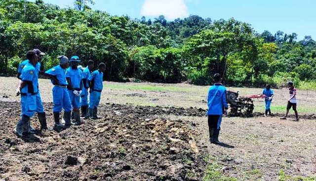 Penyuluh Papua Latih Milenial Operasikan Alsintan