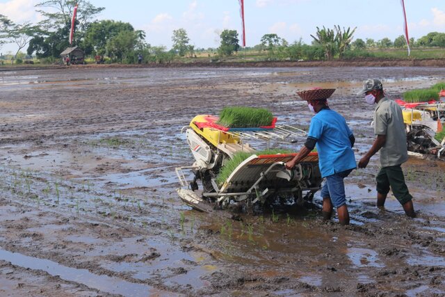 Pengamat Nilai UU Cipta Kerja Perkuat Pertanian dan Pangan Dalam Negeri