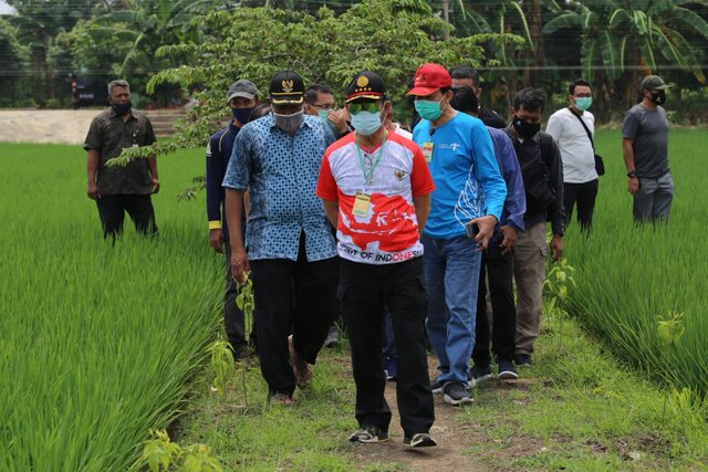 Mentan Dorong Urban Farming di Jakarta