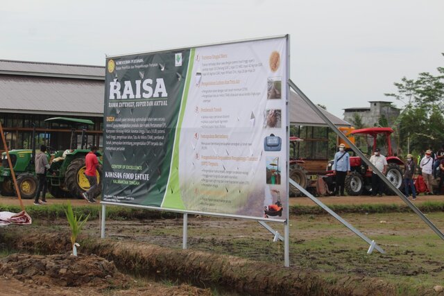 Balitbangtan Aplikasikan Teknologi RAISA di Food Estate Kalimantan Tengah