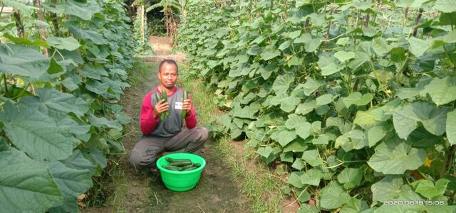 Madrowi Petani di Pandeglang Rasakan Berkah Panen Berlimpah Dengan Program KUR