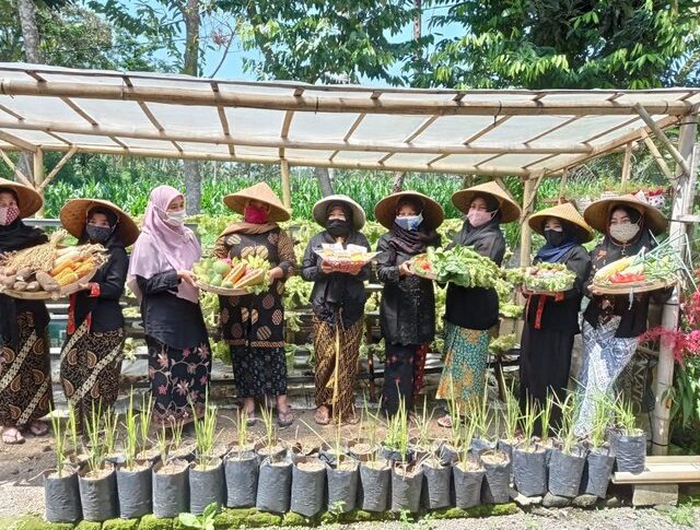 BPP Srono Dukung KWT Sri Tanjung Ciptakan Ketahanan Pangan Melalui KRPL