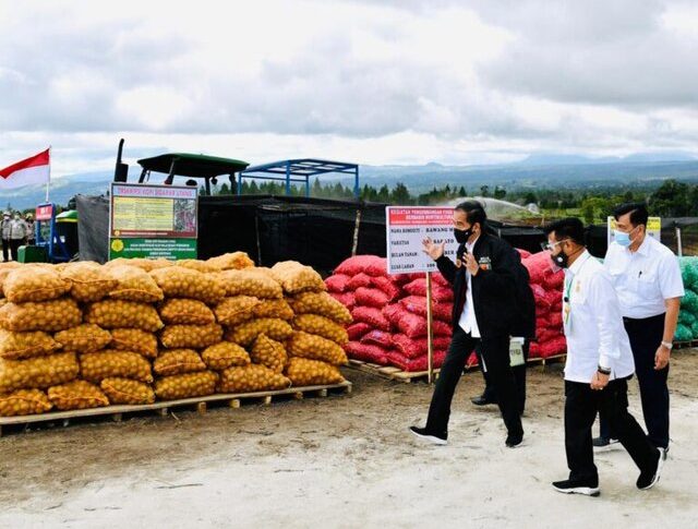 Korporasi Petani, Basis Ekonomi Food Estate Sumut