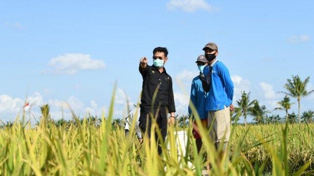 Kementan Dorong Kekuatan Ekspor Pertanian Indonesia melalui Gratieks