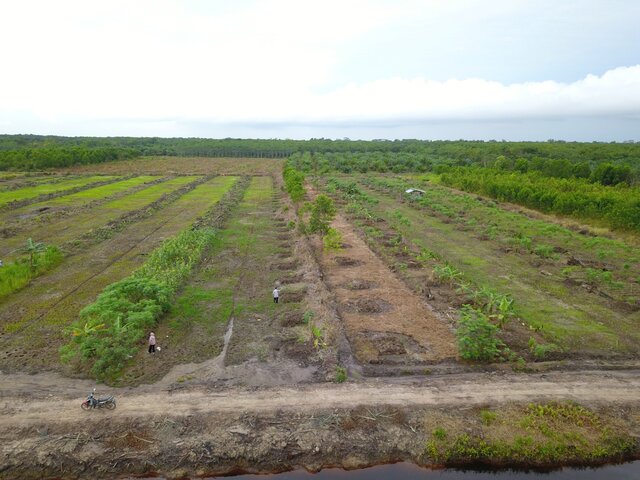 Proyek Kampung Buah di Sentra Kepulauan Borneo