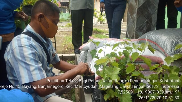 Gelar Latihan Teknis, Polbangtan Yoma Manfaatkan Kostratani