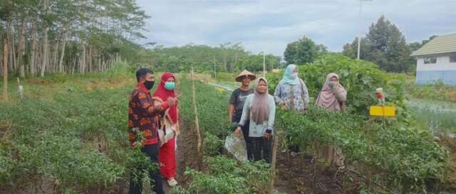 Food Estate Kalteng Ungkit Kesejahteraan Petani