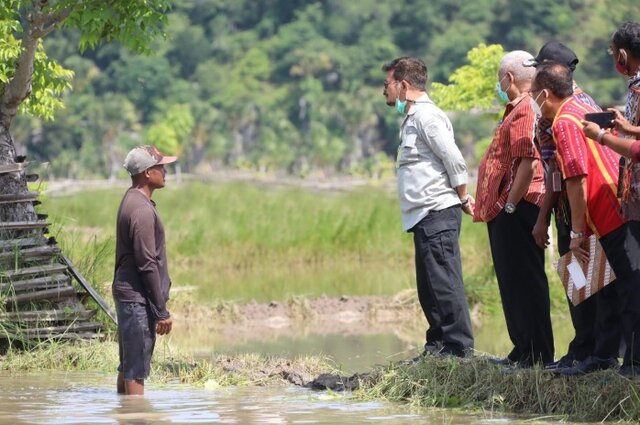 Mentan Tinjau Kawasan Food Estate Baru di NTT