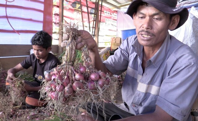Petani Lokasi Food Estate Mulai Panen