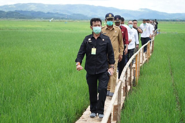 Ingin Membentuk Korporasi Tanaman Pangan? Begini Caranya