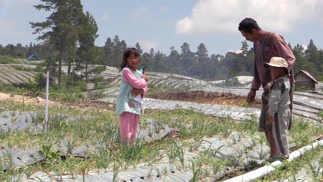 Petani Food Estate: Tim Kementan Gigih Berjuang Bersama Kami