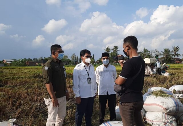 Kementan Rangkul Bulog Serap Gabah Petani NTB Dengan Target 40.000 Ton