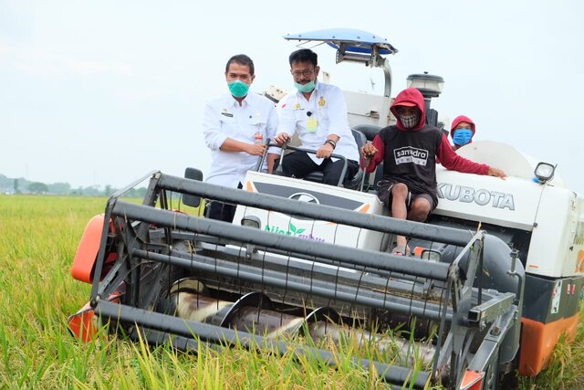 Terjadi Pergeseran Peringkat, Berikut 10 Peringkat Terbesar Provinsi Produsen Beras 2020