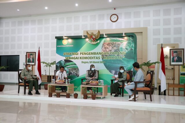 Porang, Komoditas Unggulan Penuh Potensi