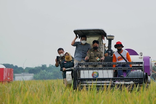 Inilah 25 Kabupaten Produsen Beras Terbesar Indonesia 2020