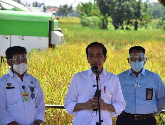 Presiden Jokowi Senang Produktivitas Padi Tinggi dan Harga Gabah Petani Naik