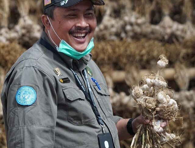 Benih Berkualitas Dorong Bawang Putih Lokal Berkembang Pesat di Lereng Gunung Sindoro-Sumbing