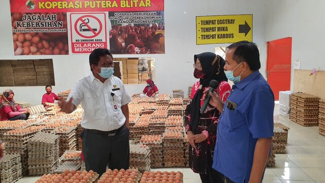 Kementan Subsidi Distribusi Untuk Stabilkan Pasokan dan Harga Jagung