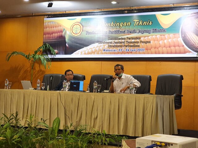 Perketat Mutu Jagung Hibrida, Kementan Tingkatkan Penggunaan Benih Unggul