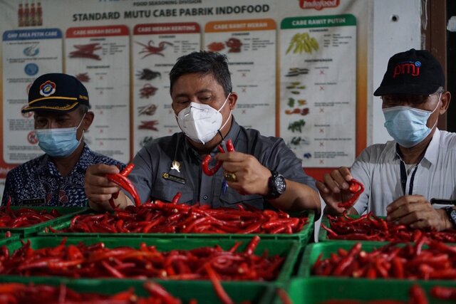 Jelang HBKN, Kementan Optimis Stok dan Harga Cabai Aman