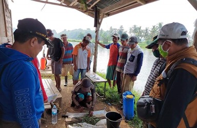 Ekstrak Mimba dan Minyak Selasih Dorong Produksi Hortikultura Aman dan Ramah Lingkungan