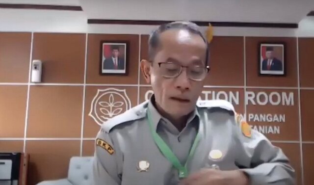 Kementan Dorong Daerah Terus Kuatkan Cadangan Pangan