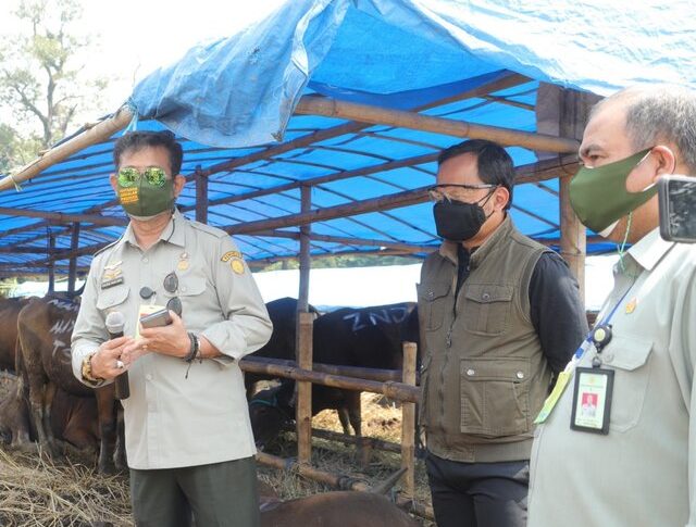 Mentan SYL Bersama Walikota Bogor Pantau Ketersediaan Hewan Kurban