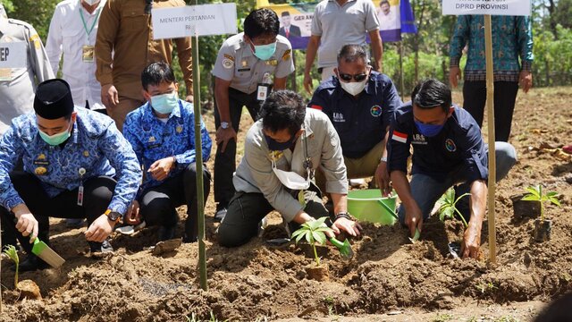 Kementan Garap 1.000 Hektare Lahan Porang di Kabupaten Pangkep