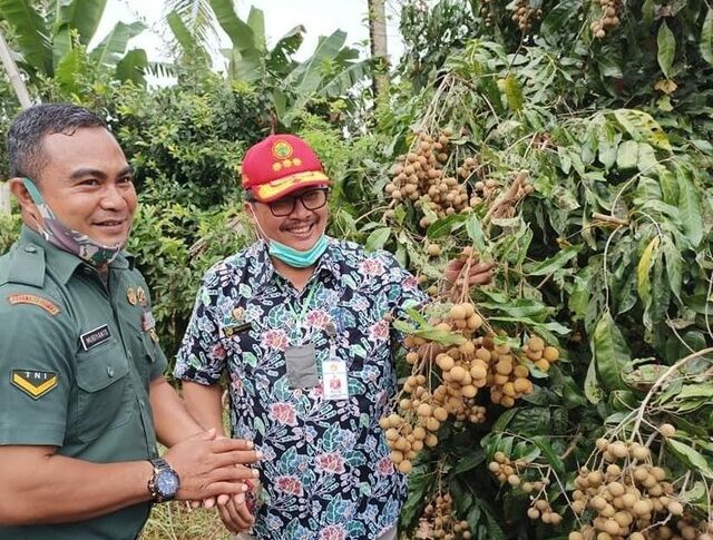 Tingkatkan Daya Saing, Kementan Siap Kembangkan Kampung Lengkeng