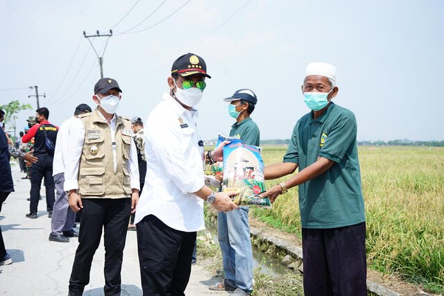 Mentan SYL Cek Persawahan di Jabar, Pastikan Panen Terus Berlangsung