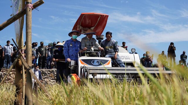 Jamin Stok Beras Melimpah, Mentan SYL: Lahan Tak Boleh Nganggur Lama