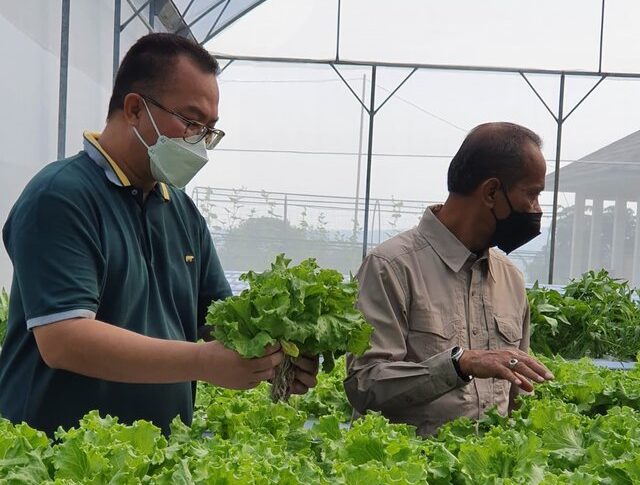 BKP Kementan Kerja Sama dengan IPB Perkuat Ketahanan Pangan Nasional