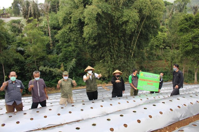 Pertanian Keluarga Tingkatkan Kesejahteraan Petani Sumedang