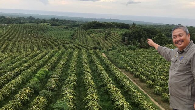 Kementan Bangun Kampung Hortikultura di Tahun 2022