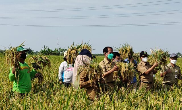 Dukung Program Kementan, Kudus Segera Laksanakan IP 400