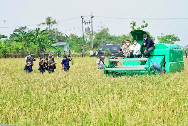 Akademisi IPB Beber Produksi Beras 2018 Hingga 2021 Naik, Kinerja Pertanian Memuaskan