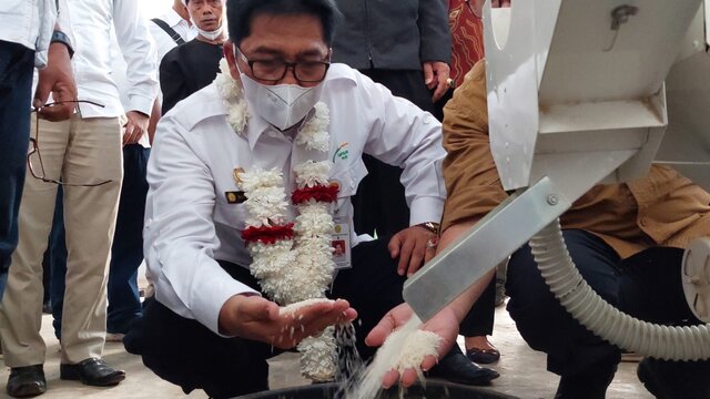 Turunkan Stunting, Kementan Dorong Kelompok LPM Tanam Padi Kaya Zinc