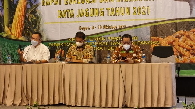 Buktikan Stok Jagung Cukup, Kementan Lakukan Sinkronisasi Data Jagung dengan IPB dan BPS