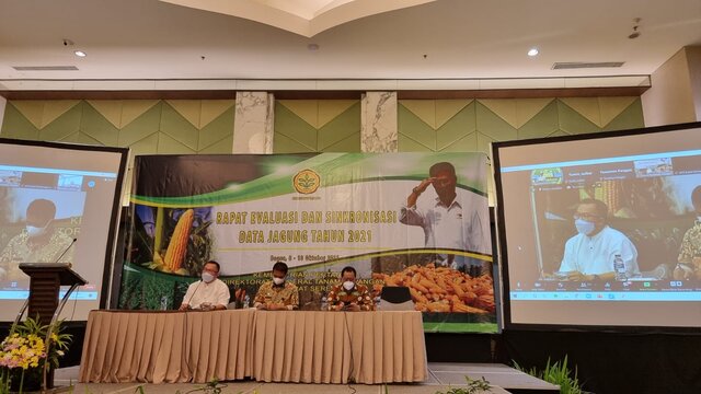 Rektor IPB: Harga Bukan Satu Satunya Indikator, Jagung Surplus, Ada Masalah Logistik