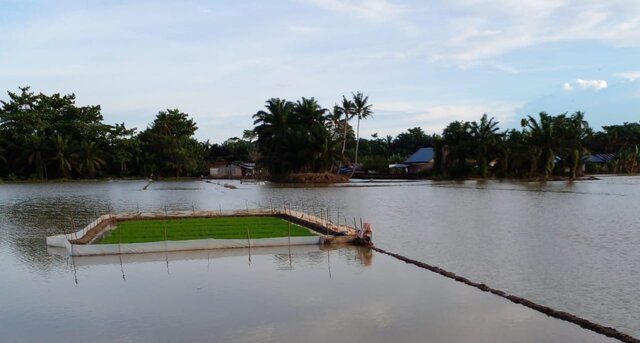 Kementan Siapkan Strategi Antisipasi Dampak La Nina